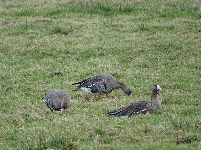 欧冠综合 ｜ 拜仁逆转葡体 国米不敌利物浦
